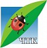 ЧТК Интернет